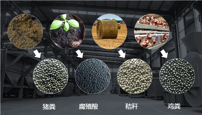 雞糞有機肥生產(chǎn)線生產(chǎn)工藝全面解析(圖2) 雞糞有機肥成品顆粒