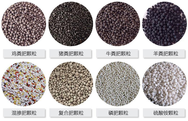 年產(chǎn)1-3萬噸小型有機肥生產(chǎn)線大概要多少錢?(圖2) 有機肥成品顆粒展示